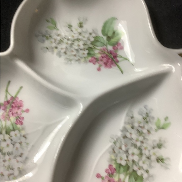 Vintage Old Nuremberg Bavaria Germany Three Section Dish - Picture 7 of 11